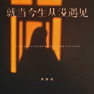 就当今生从没遇见（翻自 关心）