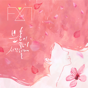 분홍이 끓기 시작할 때