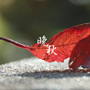 ニュー・シネマ・パラダイス