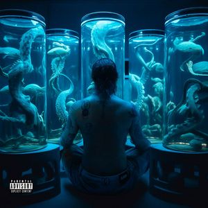 curto-circuito (Katy da Voz & Clementaum RMX)