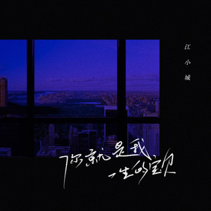 你就是我一生的宝贝 (伴奏)