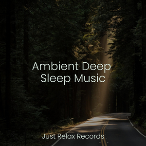 Silent Seraph's Song