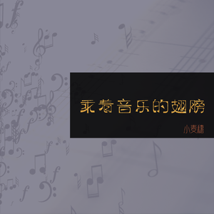 乘着音乐的翅膀