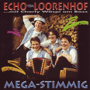 Riemenstalder Chilbi