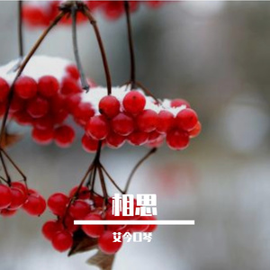 相思 口琴（翻自 三宝）