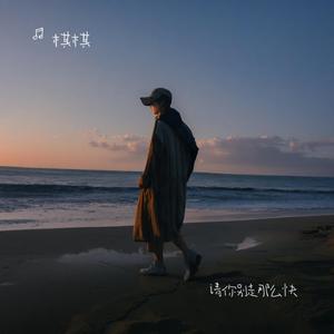 请你别走太快（烟嗓版）