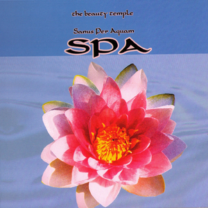 Lebendige Frische Des Wildbachs