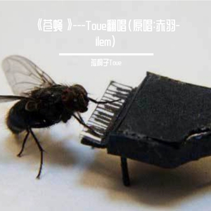 《苍蝇》-Toue翻唱（原唱：赤羽-ilem）（翻自 赤羽）