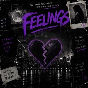 Feelings