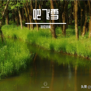 风飞雪-整曲