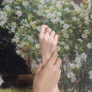 写给黄淮（Cover：小黑）