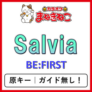 Salvia（カラオケ）[BE：FIRST]