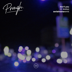 Don't You (Serial Mama Remix)