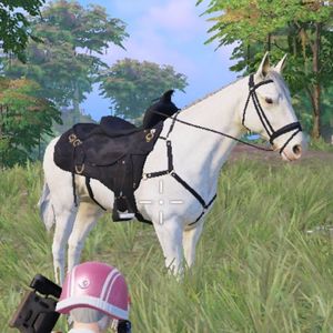 身骑白马（AC remix）