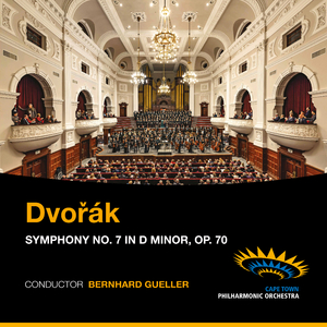 Symphony No. 7 in D Minor, Op. 70 - IV. Finale (Allegro)