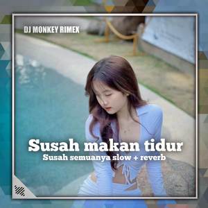 Dj Susah makan tidur Susah semuanya slow + reverb