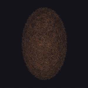 No Iodine, No Breeze