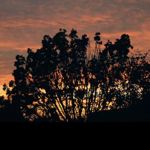 what doesn't hold is bound to break