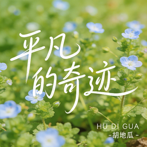 平凡的奇迹（原版）