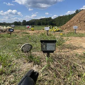 Stay by me (feat. Horo.)