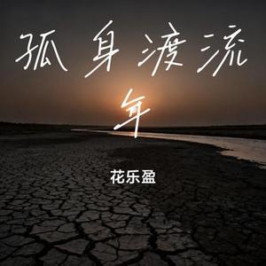 孤身渡流年