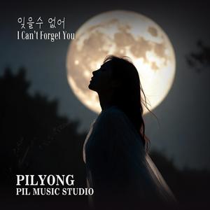 잊을수 없어