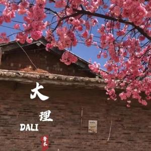 大理