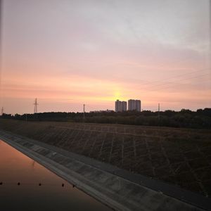 叶繁终唯枯-老鼠