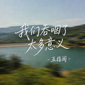 我们吞咽了太多意义（抖音热播版）