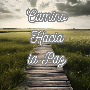 Camino Hacia la Paz