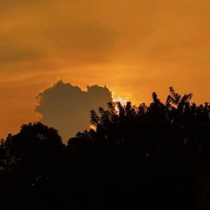 红蔷薇 白玫瑰 热门翻唱版