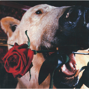 さよならバイバイ