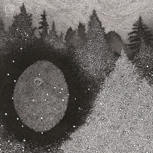 Through the mist, a peak of icy water; where can I find you, pelagian bird?