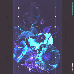 Ionized (Fluctuate Remix)