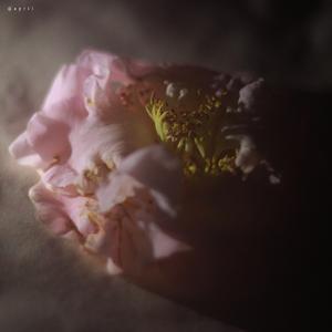 24 hours (COVER 선미 - 24시간이 모자라)