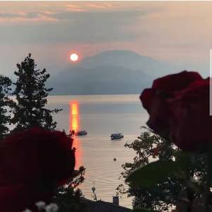 Love feels with wind starting