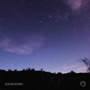 Alive In The Night