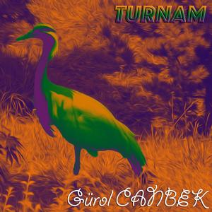 Turnam (Yâre Selam Saldım Gel Deyi)