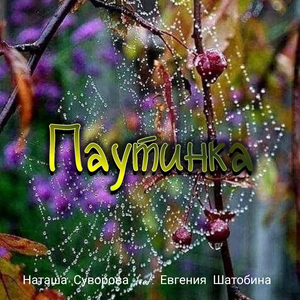 Паутинка