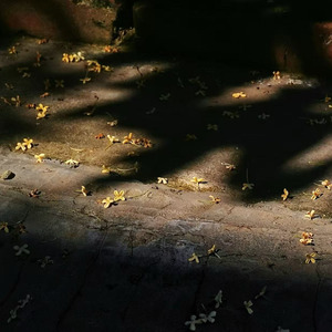 别辜负眼前季节 (动感氛围版)