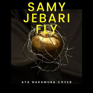 Fly