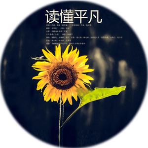 歌曲：读懂平凡