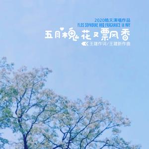 五月槐花又飘香 伴奏