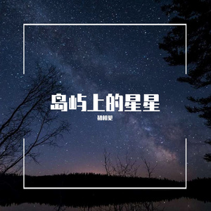 岛屿上的星星