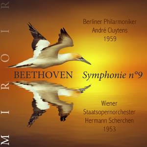 Symphonie n°9, Op. 125:IV. Finale: presto
