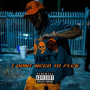 i dont need to flex (feat. Woady)