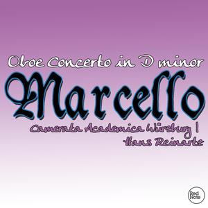 Oboe Concerto, D Minor: I. Andante e spiccato