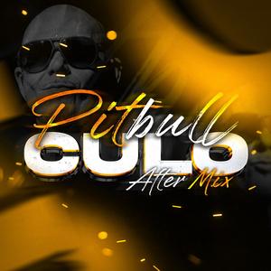Pitbull Culo (Latin Tech)