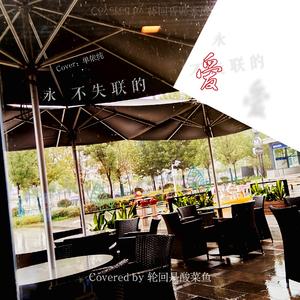 永不失联的爱（翻自 单依纯）