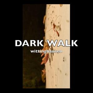 DARK WALK